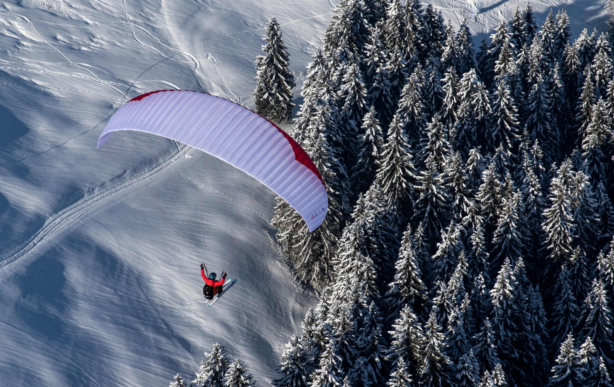 20210212_unbenannte Fotosession__©Bernd Hoeller_0015