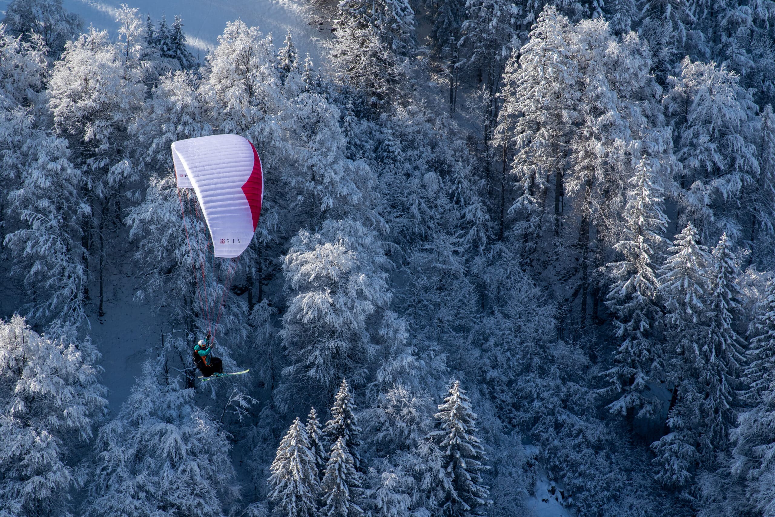 20210212_unbenannte Fotosession__©Bernd Hoeller_0016